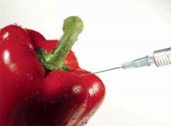 美国人如何管理中国食品安全
